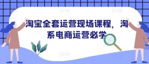 淘宝全套运营现场课程,淘系电商运营必学-网赚项目众筹网