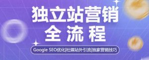 独立站营销全流程,Google SEO优化,社媒站外引流,独家营销技巧-网赚项目众筹网