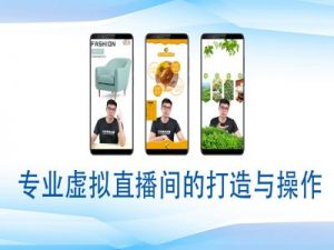 个人虚拟直播间的搭建与操作,专业虚拟直播间的打造与操作-网赚项目众筹网