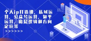 个人ip打造课,私域运营,公众号运营,知乎运营,底层逻辑和方向定位等-网赚项目众筹网