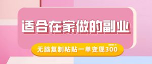 适合在家做的副业,小红书冷知识账号,无脑复制粘贴一单变现300-网赚项目众筹网