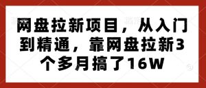 网盘拉新项目,从入门到精通,靠网盘拉新3个多月搞了16W-网赚项目众筹网