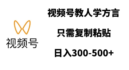 视频号教人学方言，只需复制粘贴，日入多张-网赚项目众筹网