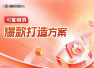 天猫电商爆款运营,可复制的爆款打造方案(线下内训课录音+字幕)-网赚项目众筹网
