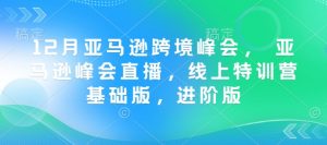 12月亚马逊跨境峰会， 亚马逊峰会直播，线上特训营基础版，进阶版-网赚项目众筹网