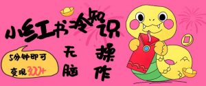 小红书冷知识账号，无脑复制粘贴，5分钟即可变现3张-网赚项目众筹网