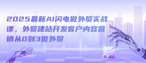 2025最新AI闪电做外贸实战课,外贸建站开发客户内容营销从0到3做外贸-网赚项目众筹网