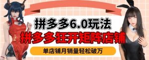 拼多多虚拟商品暴利6.0玩法,轻松实现月入过W-网赚项目众筹网