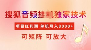 全网首发搜狐音频挂JI独家技术,项目红利期,可矩阵可放大,稳定月入8k【揭秘】-网赚项目众筹网