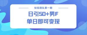 男粉引流新方法不违规,当日即可变现-网赚项目众筹网