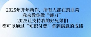 2025年开年新作,所有人都在割韭菜,我来教你做“镰刀” 2025让支持我的好兄弟们都可以通过“知识付费”拿到满意的成绩【揭秘】-网赚项目众筹网