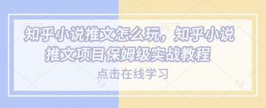 知乎小说推文怎么玩,知乎小说推文项目保姆级实战教程-网赚项目众筹网