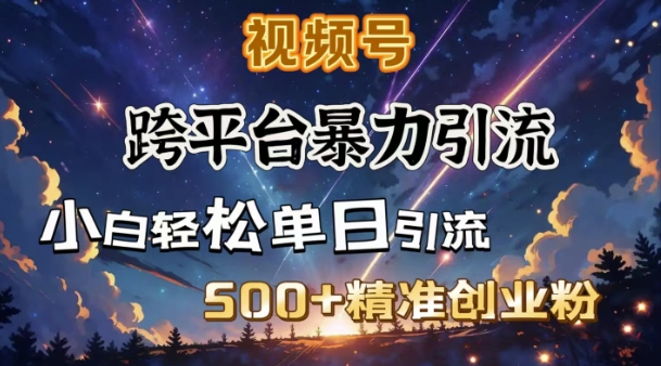 跨平台暴力引流，私域完美闭环，日引500+精准创业粉-网赚项目众筹网