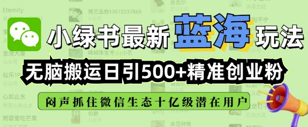 小绿书无脑搬运引流，全自动日引500精准创业粉，微信生态内又一个闷声发财的机会-网赚项目众筹网