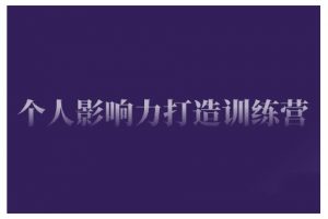 个人影响力打造训练营,掌握公域引流、私域运营、产品定位等核心技能,实现从0到1的个人IP蜕变-网赚项目众筹网