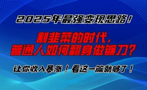 2025年最强变现思路，割韭菜的时代， 普通人如何翻身做镰刀？【揭秘】-网赚项目众筹网