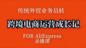 跨境电商速卖通运营课,运营方法论+后台实操,逻辑清晰-网赚项目众筹网