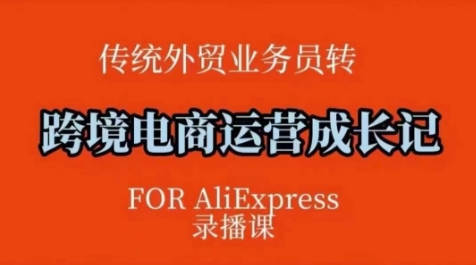跨境电商速卖通运营课，​运营方法论+后台实操，逻辑清晰-网赚项目众筹网