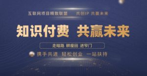 别人苦寻无果,为何他们靠知识付费卖项目 2025 年轻松年入100个?【揭秘】-网赚项目众筹网