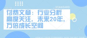 付费文章:行业分析 高度关注,未来20年,万倍成长空间-网赚项目众筹网