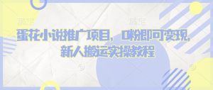 蛋花小说推文项目,0粉即可变现,新人搬运实操教程-网赚项目众筹网