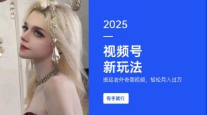 搬运老外奇葩视频,撸视频号分成计划收益,每天只需一小时,新手小白轻松月入过W-网赚项目众筹网