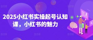 2025小红书实操起号认知课,小红书的魅力-网赚项目众筹网