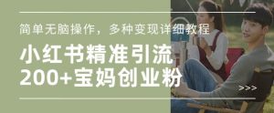 小红书混剪日引200+宝妈创业粉,简单无脑操作,多种变现详细教程-网赚项目众筹网