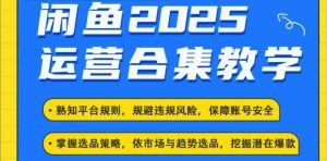 2025闲鱼电商运营全集,2025最新咸鱼玩法-网赚项目众筹网