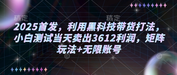 2025首发，利用黑科技带货打法，小白测试当天卖出3612利润，矩阵玩法+无限账号【揭秘】-网赚项目众筹网