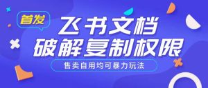 首发飞书文档破解复制权限,售卖自用均可暴力玩法-网赚项目众筹网