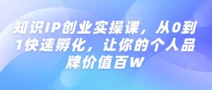 知识IP创业实操课,从0到1快速孵化,让你的个人品牌价值百W-网赚项目众筹网