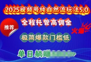 2025视频号纯自然流玩法5.0，全程托管高佣金，极简爆款门槛低，单日收益多张【揭秘】-网赚项目众筹网
