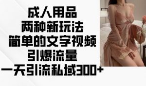 成人用品两种新玩法,简单的文字视频引爆流量,一天引流私域300+-网赚项目众筹网