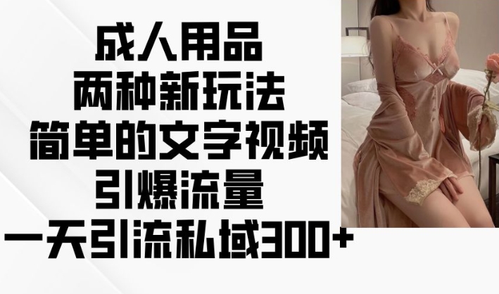 成人用品两种新玩法，简单的文字视频引爆流量，一天引流私域300+-网赚项目众筹网