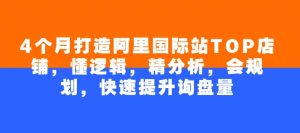 4个月打造阿里国际站TOP店铺,懂逻辑,精分析,会规划,快速提升询盘量-网赚项目众筹网