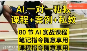 AI指令实战课,课程+案例,80节AI实战课程,笔记指令随意享用,课程指令随意享用-网赚项目众筹网