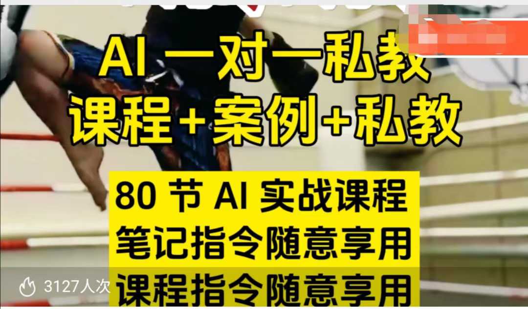AI指令实战课，课程+案例，80节AI实战课程，笔记指令随意享用，课程指令随意享用-网赚项目众筹网