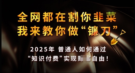 知识付费如何做到月入过W+，2025我来教你做“镰刀”【揭秘】-网赚项目众筹网