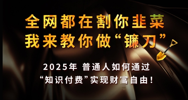 全网都在割你韭菜，我来教你做镰刀，2025年普通人如何通过 知识付费 实现财F自由【揭秘】-网赚项目众筹网