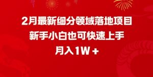 2月最新细分领域落地项目,新手小白也可快速上手,月入1W-网赚项目众筹网