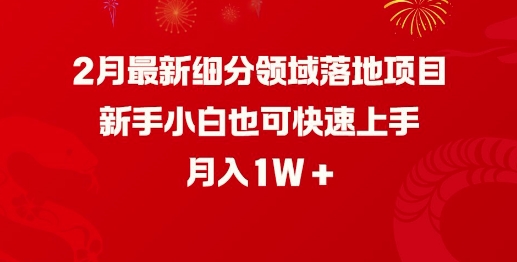 2月最新细分领域落地项目，新手小白也可快速上手，月入1W-网赚项目众筹网