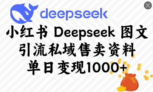 小红书Deepseek图文引流私域售卖资料，单日变现多张-网赚项目众筹网