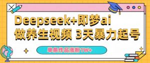 小白用DeepSeek+即梦做ai养生视频,一条作品涨粉5万+,单日收益多张-网赚项目众筹网