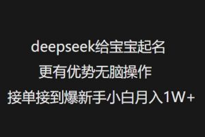 deepseek给宝宝起名更有优势无脑操作接单接到爆新手小白月入1W+-网赚项目众筹网