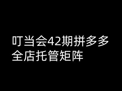 叮当会拼多多打爆班原创高阶技术第42期，拼多多全店托管矩阵-网赚项目众筹网