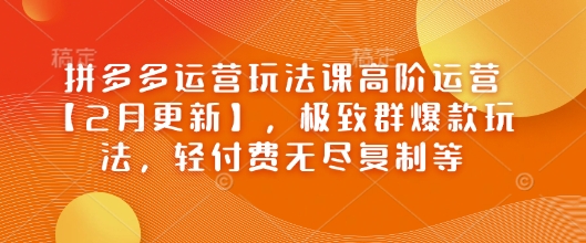 拼多多运营玩法课高阶运营【2月更新】，极致群爆款玩法，轻付费无尽复制等-网赚项目众筹网