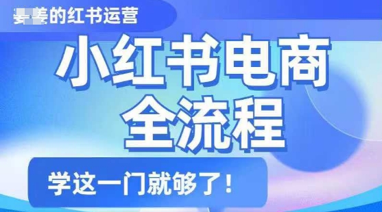 小红书电商全流程，精简易懂，从入门到精通，学这一门就够了-网赚项目众筹网