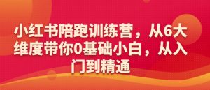 小红书陪跑训练营,从6大维度带你0基础小白,从入门到精通-网赚项目众筹网