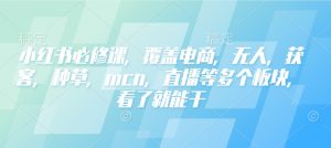 小红书必修课,覆盖电商,无人,获客,种草,mcn,直播等多个板块,看了就能干-网赚项目众筹网